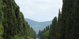 vacanze a San Vincenzo